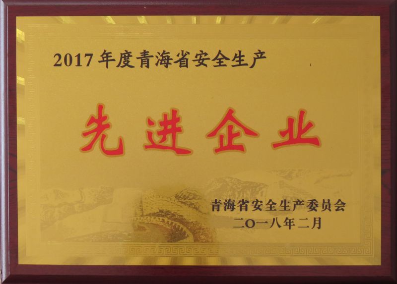 2017年度安全生產(chǎn)先進企業(yè)